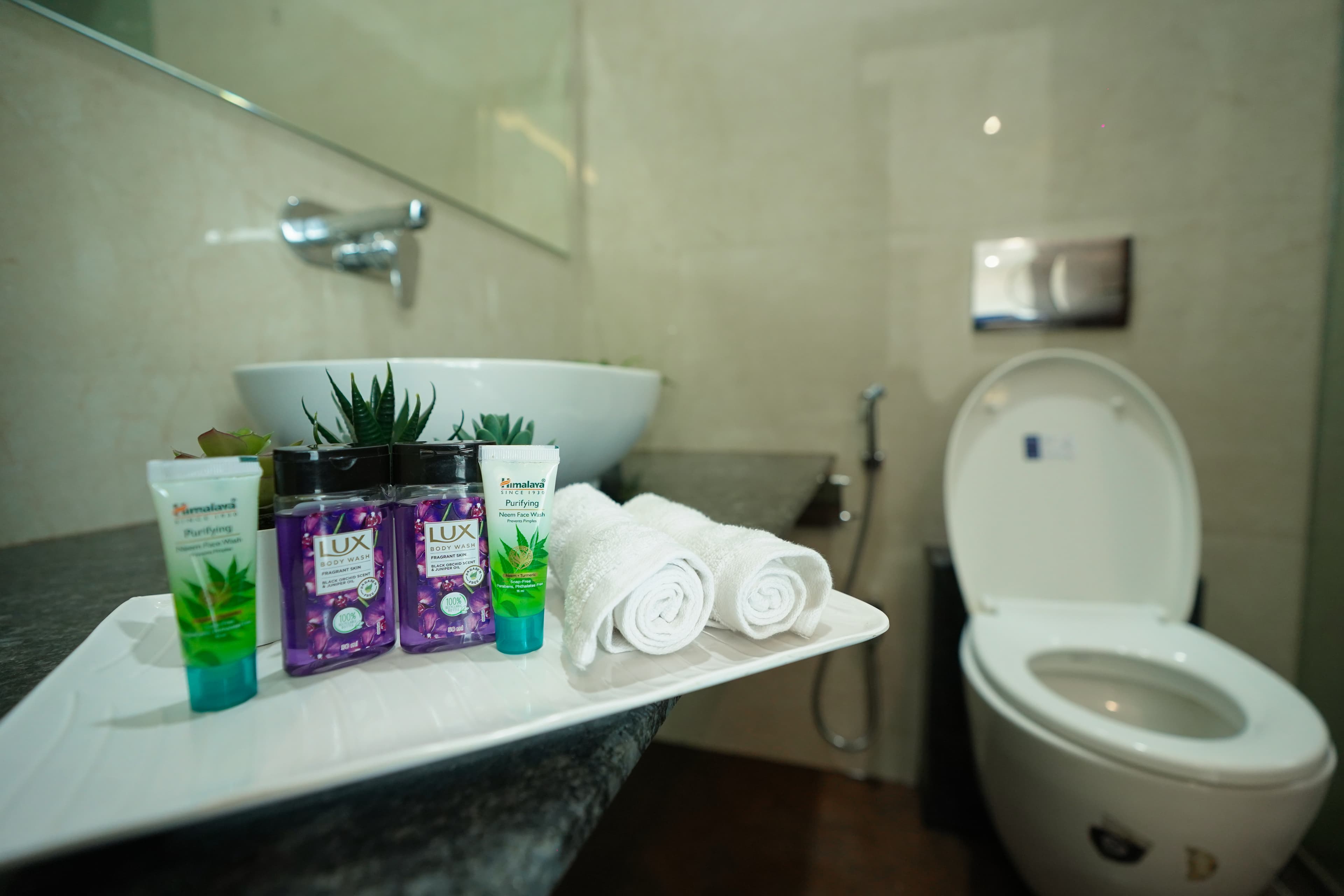 Washroom4